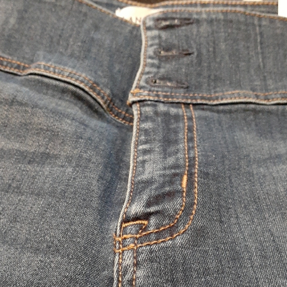 Lane Bryant Ripped Blue Denim Jeans